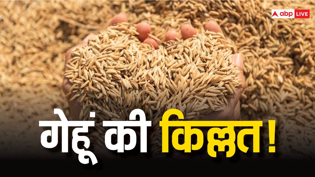 फ्री-राशन वाली योजना के बीच 6 सालों बाद भारत को क्यों खरीदना पड़ रहा है गेहूं