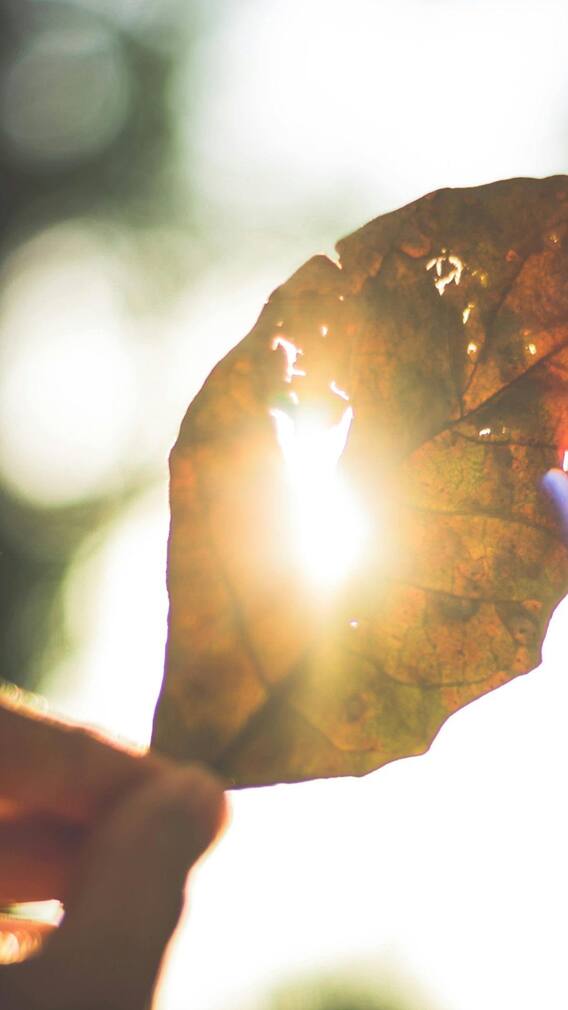 मार्च से मई के बीच हीटस्ट्रोक से अब तक 56 लोगों की मौत