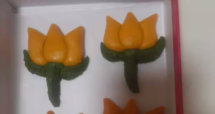 பிகார் மாநிலத்தில் உள்ள பாட்னாவில், பாஜக உறுப்பினர்கள் நேற்று மாலையில் இருந்து லட்டு தயாரித்து வருகின்றனர்.