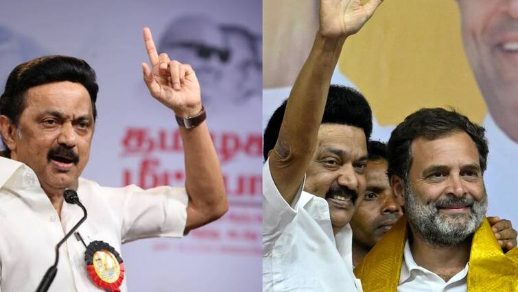 Tamil Nadu Lok Sabha Election Results 2024 DMK lead INDIA alliance won clean sweep 40 seats vote difference m k stalin Tamil Nadu Lok Sabha Election Results 2024: 40ம் நமதே.. தட்டித் தூக்கிய திமுக: கொண்டாட்டத்தில் தொண்டர்கள்!