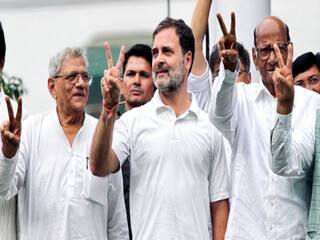 Lok sabha Election 2024: શું ઇન્ડિયા ગઠબંધન સરકાર બનાવી શકશે? અહીં સમજો સમીકરણ