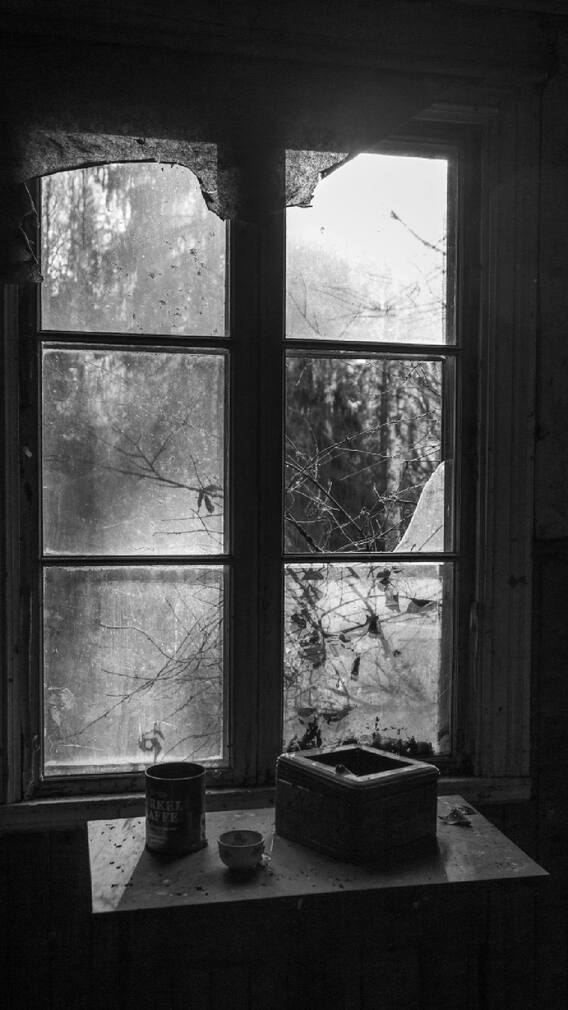 घरात कोळ्याचं जाळं असणं शुभ की अशुभ?