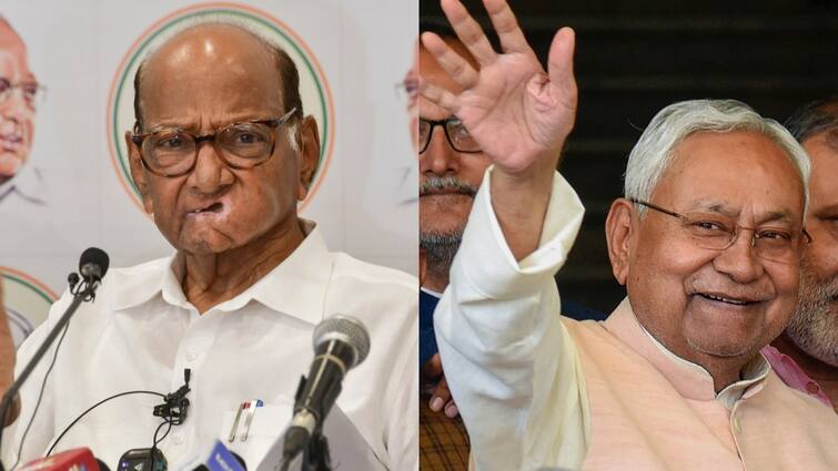 sharad pawar calls nitish kumar over lok sabha election result 2024   Lok Sabha Election Result 2024: મતગણતરી વચ્ચે અસલી ખેલ શરુ! હવે શરદ પવારે નીતીશ કુમાર સાથે કરી વાત 