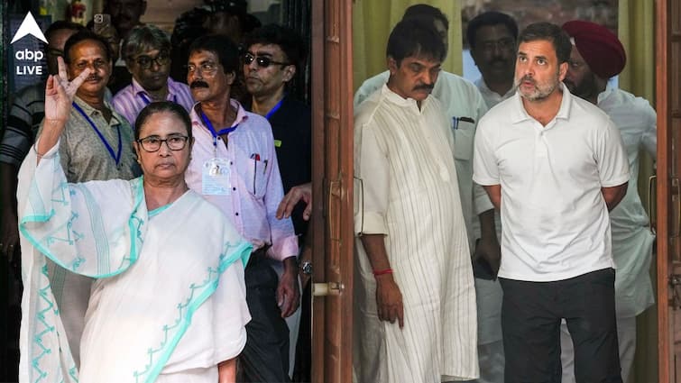 Lok Sabha Election 2024 Mamata Banerjee gives update on INDIA alliance meeting and stand of TMC Lok Sabha Election 2024: I.N.D.I.A জোটে তৃণমূলের ভূমিকা কী হবে, কে যাবেন দিল্লির বৈঠকে, বড় আপডেট দিলেন মমতা