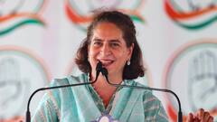 अमेठी और रायबरेली पर फिर कांग्रेस का दबदबा, यूपी में इंडिया के प्रदर्शन पर प्रियंका गांधी का पहला रिएक्शन