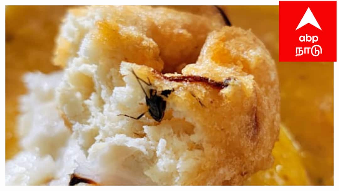 TN Lok Sabha Election Results 2024: “வண்டை எடுத்து போட்டு விட்டு சாப்பிட்டு போங்க” - வடையில் வண்டு - அதிர்ச்சியில் செய்தியாளர்கள்