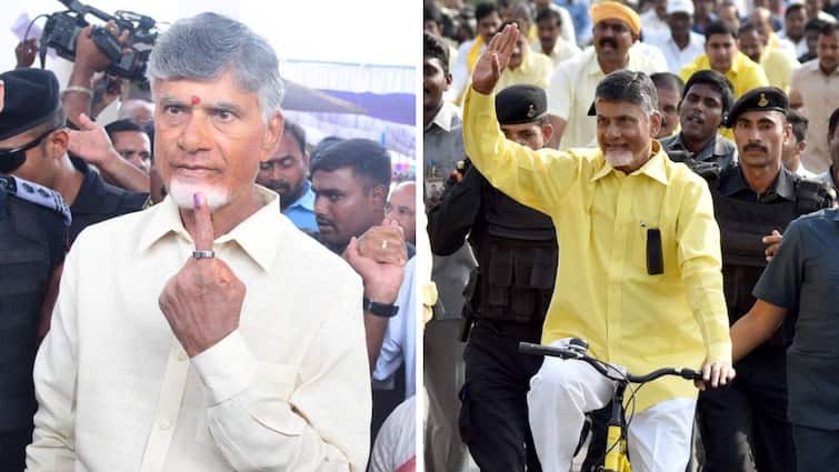 Chandrababu Naidu Party TDP Got hug Vote Majority in Rayalaseema Andhra Assembly Elections Result 2024 Chandrababu Naidu: రాయలసీమలోనూ చంద్రబాబు వదల్లేదుగా- వైసీపీని కుదేలు చేసిన టీడీపీ, జనసేన, బీజేపీ