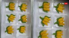 Lok Saha Election Result 2024: शुरुआती रुझानों में NDA का आंकड़ा 200 पार, जगह-जगह जश्न की तैयारी, देखें तस्वीरें