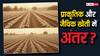 प्राकृतिक खेती और जैविक खेती में क्या होता है अंतर? आसान भाषा में समझिए पूरा मसला