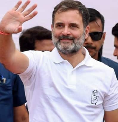 ਵਾਇਨਾਡ ਜਾਂ ਰਾਏਬਰੇਲੀ? ਰਾਹੁਲ ਗਾਂਧੀ ਕਿਹੜੀ ਸੀਟ ਰੱਖਣਗੇ, ਸਾਂਝਾ ਕੀਤਾ ਵੀਡੀਓ