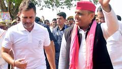 Lok Sabha Election Result 2024: यूपी में गठबंधन के 'दो लड़के' मचा रहे धमाल, उत्तर प्रदेश की इन हाई प्रोफाइल सीटों पर BJP को 440 का झटका