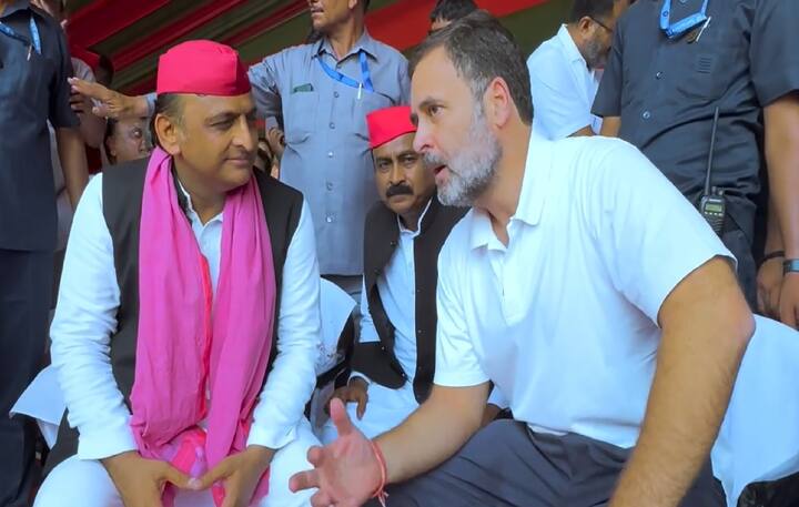 भाजपा ने मनमुताबिक प्रत्याशियों को टिकट दिए, लेकिन इंडिया गठबंधन ने पूरा जाति फैक्टर खेला और उसी हिसाब से प्रत्याशी उतारे. वहीं, भाजपा ने 50 प्रतिशत से ज्यादा ठाकुरों का टिकट काट दिया. प्रतापगढ़ में राजा भइया को भी नजरअंदाज करना भाजपा को भारी पड़ गया.