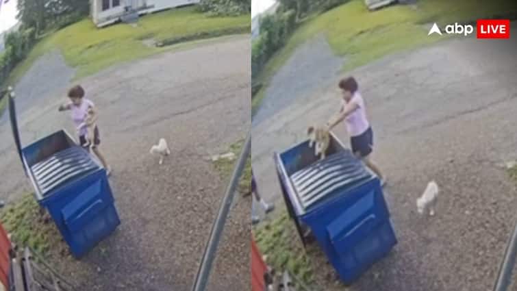 woman throws puppy in dustbin shocking video goes viral on social media कुत्ते के पिल्लों को बेरहमी से कूड़ेदान में फेंकती दिखी महिला, वीडियो आया सामने