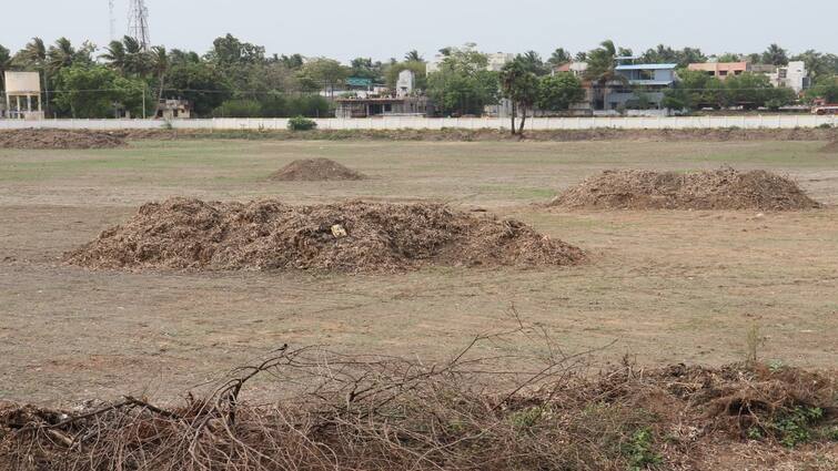 Thanjavur news Removal of air lotus vines, plant vines clean samuthiram lake - TNN ஆகாயத் தாமரைக் கொடிகள், செடி கொடிகள் அகற்றம்: தூய்மையானது சமுத்திரம் ஏரி