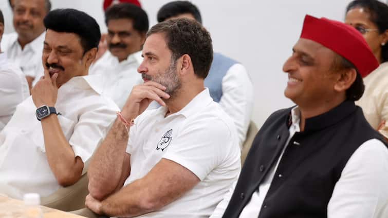 rahul gandhi opposition leader in parliament after lok sabha election result Rahul Gandhi: રાહુલ ગાંધી બનશે લોકસભામાં વિપક્ષના નેતા? કોંગ્રેસ સાંસદે કરી માંગ