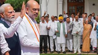Lok Sabha Election Result 2024: மத்தியில் யார் ஆட்சி? NDA & I.N.D.I.A. கூட்டணி இன்று ஆலோசனை! யார் ஆதரவு யாருக்கு?