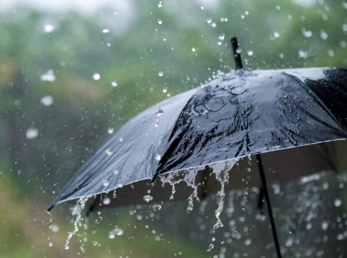 राज्यातील सातारा, सांगली, सोलापूर, कोल्हापूर, उत्तर महाराष्ट्रातील नाशिक, धुळे, नंदुरबार, जळगाव, मराठवाड्यातील छत्रपती संभाजी नगर, जालना, बीड, परभणी, लातूर, नांदेड, हिंगोली, विदर्भातील यवतमाळ, बुलढाणा, अकोला, वाशिम, अमरावती, उस्मानाबाद, सोलापूर, पंढरपूर या भागात चांगला पाऊस पडणार असल्याची माहिती डखांनी दिली आहे.