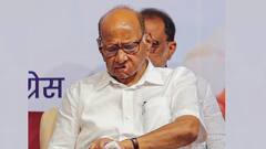 शरद पवार की स्ट्राइक रेट के सामने अजित पवार फेल, बिना 'घड़ी' ऐसे बदल दी सियासी तस्वीर