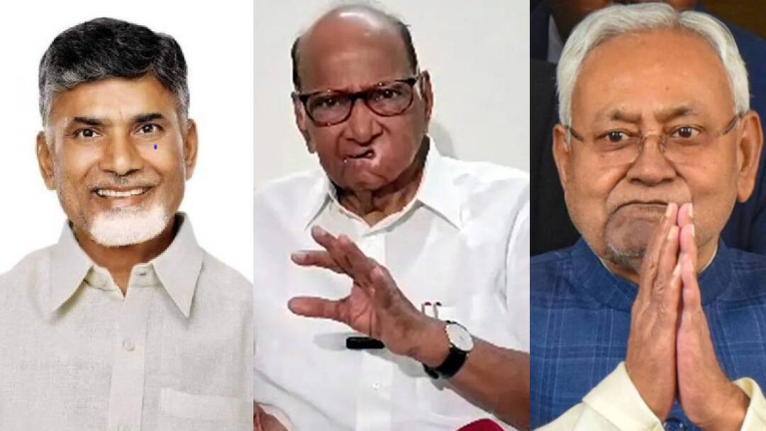 Sharad Pawar: “நிதிஷ், சந்திரபாபு நாயுடுவிடம் இதுவரை பேசவில்லை” - இந்தியா கூட்டணி முடிவு பற்றி சரத்பவார் விளக்கம்!