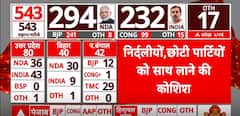 Election Result 2024: BJP Likely To Reach Independent Winning Contenders | ABP News