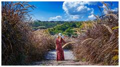 गर्मियों में घूमने के लिए बेस्ट है चंडीगढ़ की ये जगहें, जल्दी से बना लें एक दिन का ट्रिप प्लान