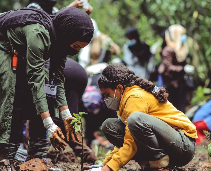 மரங்கள் நட வேண்டும். அதிகமாக மரம் நடுவதன் மூலம் சுற்றுச்சூழலை சமநிலையில் வைக்கலாம். மரங்கள் சுத்தமான ஆக்ஸிஜன் மற்றும் உணவு பொருட்களை நமக்கு வழங்குகிறது. அதே போல் நிலத்தின் தன்மையையும் பாதுகாக்கிறது.