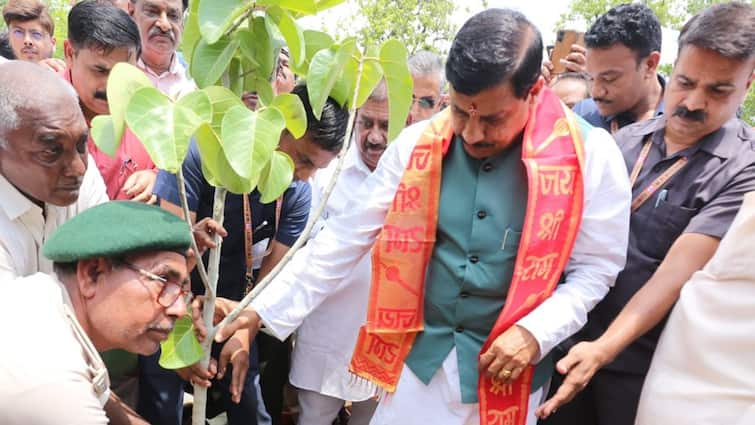 World Environment Day 2024 CM Mohan Yadav inaugurated Jal Ganga Conservation campaign ANN MP में जल गंगा संवर्धन अभियान का शुभारंभ, 3 हजार 90 करोड़ की लागत से होंगे जल संरक्षण के काम