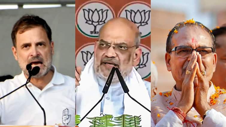 Lok Sabha Elections 2024 Amit Shah Shivraj Chouhan Rahul Gandhi BJP Congress Big Winners In Polls Amit Shah To Shivraj Chouhan: List Of Big Winners In Lok Sabha Elections 2024