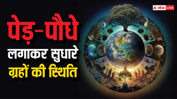 World Environment Day 2024 on 5 june Improve nature luck and position of planets by planting plants and trees World Environment Day 2024: पेड़-पौधे बढ़ाते हैं सुख-समृद्धि, पौधे लगाकर सुधारे प्रकृति, भाग्य और ग्रहों की स्थिति