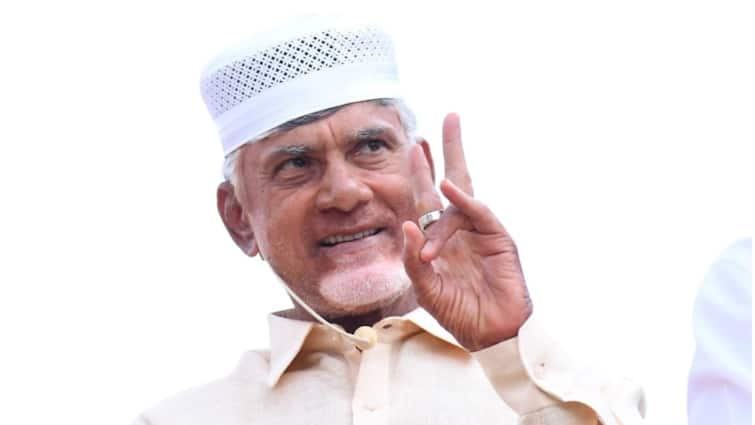 'Formed Alliance For Andhra's Welfare, Going To Attend NDA Meeting In Delhi': TDP Chief Chandrababu Naidu 'Formed Alliance For Andhra's Welfare, Going To Attend NDA Meeting In Delhi': TDP Chief Chandrababu Naidu