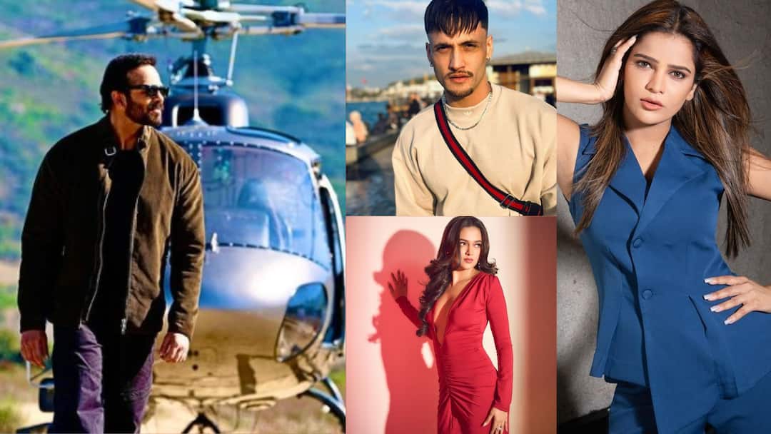 Khatron Ke Khiladi 14: आसिम से पहले ये कंटेस्टेंट भी खा चुके हैं रोहित शेट्टी से डांट, एक को तो शो से निकालने की दे डाली थी धमकी! Khatron Ke Khiladi 14 From Asim Riaz to Tejasswi Prakash Archana Gautam celebs who had to face host Rohit Shetty heat Khatron Ke Khiladi 14: आसिम से पहले ये कंटेस्टेंट भी खा चुके हैं रोहित शेट्टी से डांट, एक को तो शो से निकालने की दे डाली थी धमकी!