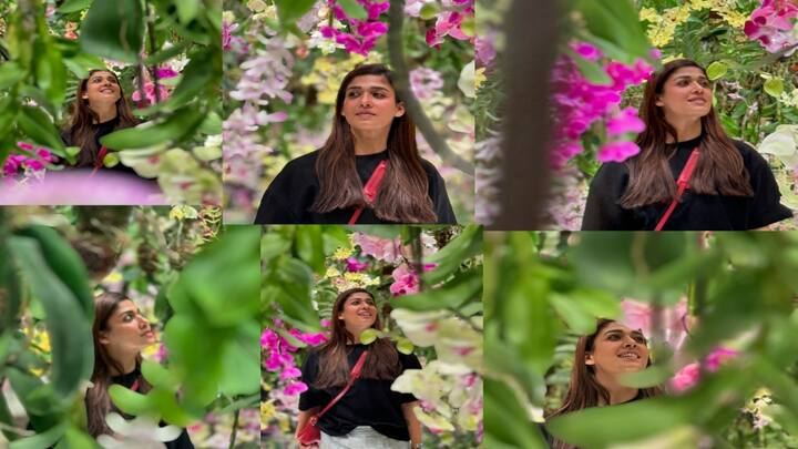 Nayanthara : நடிகை நயன்தாரா தன்னுடைய லேட்டஸ்ட் புகைப்படங்களை இன்ஸ்டாவில் பகிர்ந்துள்ளார்.