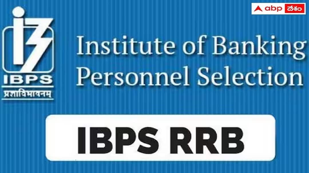IBPS RRB Recruitment 2025: வங்கியில் வேலை வேண்டுமா? IBPS தேர்வு: 13,217 காலிப் பணியிடங்கள்! வயது, தகுதி, விண்ணப்ப விவரம்!