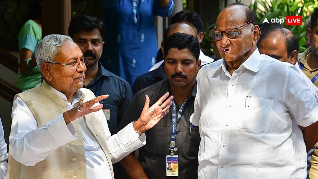 Sharad Pawar faction backs Nitish Kumar for PM post IN NDA नीतीश कुमार के लिए शरद पवार गुट ने की PM पद की वकालत? कहा, 'NDA में क्या मिलेगा...'