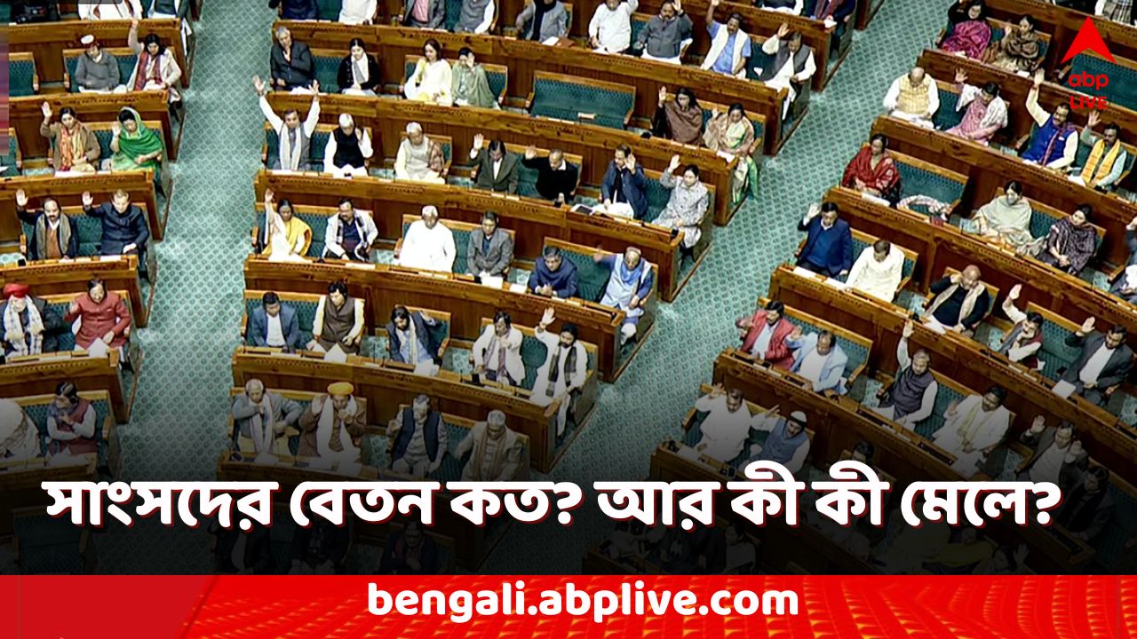 MP Salary: সাংসদ হলে মাসে বেতন কত? আর কী কী মেলে? রইল তালিকা