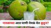 Food :'अशी कशी देवाची करणी!' नारळाच्या आत पाणी नेमकं येतं कुठून? माहीत नसेल तर जाणून घ्या