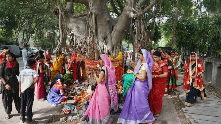 জ্যৈষ্ঠ অমাবস্যার দিন সকালে উপোস অবস্থায় তিল ও আমলকী জলে দিয়ে স্নান করার পরে বট গাছের নিচে পুজো করেন মহিলারা। স্নান করার পর নতুন জামা ও চুড়ি পরে কপালে সিঁদুর লাগান। বট গাছের শিকড় জল দিয়ে খান। যাঁরা এই ব্রত পালন করেন তাঁরা তিনদিন শুধুমাত্র বটের শিকড় জল দিয়ে খেয়েই থাকেন।(ছবি সৌজন্য-পিটিআই)