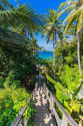10 Ways To Connect With Nature