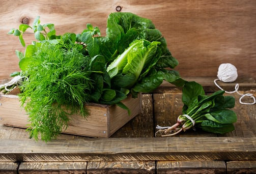 Green Leafy Vegetables: Ayurveda recommends incorporating green leafy vegetables like spinach, kale, and Swiss chard into the diet due to their light, nourishing qualities that pacify Vata dosha and support joint health. (Image Source: Getty)