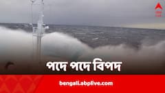 জলের স্রোতে খেলে বেড়ায় বিদ্যুৎ, আন্টার্কটিকায় ঢোকার মুখে এই জলপ্রণালীতে পদে পদে বিপদ