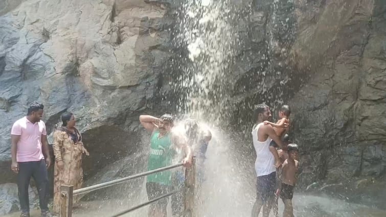 Summer holidays are closed number of visitors to the Jalakambarai in Tirupathur district - TNN முடியும் கோடை விடுமுறை... ஜலகாம்பாறை நீர்வீழ்ச்சிக்கு அதிகமாக வரும் சுற்றுலா பயணிகள்