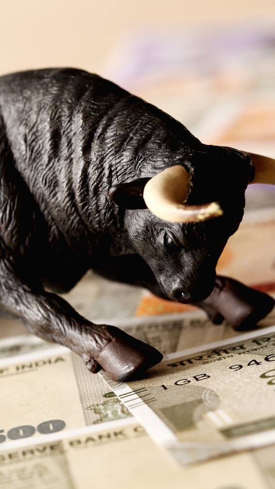 Stock Market Gainers And Losers Today