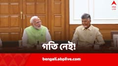 রাজ্যকে বিশেষ মর্যাদা, আর্থিক সহায়তার সঙ্গে মন্ত্রিত্বও, চন্দ্রবাবুর দাবি মেনে নিলেন মোদি-শাহ