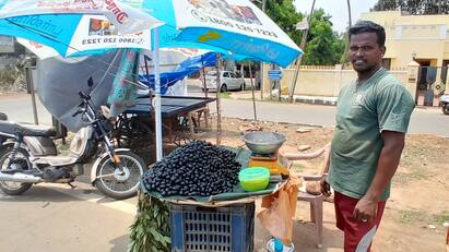 Pineapple and naval fruit selling increased  in Thanjavur district - TNN நீயா? நானா? போட்டி: தஞ்சையில் விற்பனை ரேஸில் ஓட்டமாய் ஓடும் நாவல் பழம், அன்னாசிப்பழம்