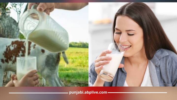 Health News: ਦੁੱਧ ਪੀਣਾ ਸਿਹਤ ਲਈ ਚੰਗਾ ਮੰਨਿਆ ਜਾਂਦਾ ਹੈ। ਇਸ ਨਾਲ ਸਰੀਰ ਕਈ ਤਰ੍ਹਾਂ ਦੀ ਬਿਮਾਰੀਆਂ ਦੇ ਨਾਲ ਲੜਨ ਦੇ ਲਈ ਮਜ਼ਬੂਤ ਬਣਦਾ ਹੈ ਇਸ ਤੋਂ ਇਲਾਵਾ ਹੱਡੀਆਂ ਵੀ ਮਜ਼ਬੂਤ ਹੁੰਦੀਆਂ ਹਨ। ਕੁੱਝ ਲੋਕ ਕੱਚਾ ਦੁੱਧ ਪੀਂਦੇ ਨੇ ਅਤੇ ਕੁੱਝ ਉਬਾਲ