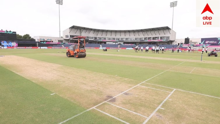 T20 World Cup 2024 What is this drop in pitch get to know about that