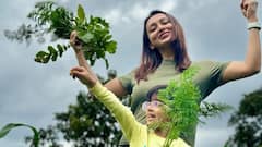 Mimi Chakraborty: নির্বাচনের উত্তেজনা থেকে অনেক দূরে... সবুজের মাঝে পরিবারের সঙ্গে অবসরযাপন মিমির