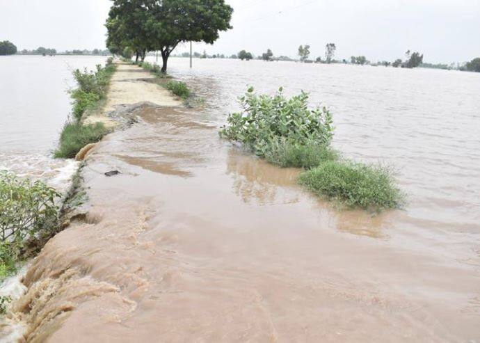 Punjab government fully prepared to deal with any situation during the upcoming monsoon season says Anurag Verma Punjab Weather: ਆਗਾਮੀ ਮਾਨਸੂਨ ਸੀਜ਼ਨ ਦੌਰਾਨ ਕਿਸੇ ਵੀ ਸਥਿਤੀ ਨਾਲ ਨਜਿੱਠਣ ਲਈ ਪੰਜਾਬ ਸਰਕਾਰ ਪੂਰੀ ਤਰ੍ਹਾਂ ਤਿਆਰ: ਅਨੁਰਾਗ ਵਰਮਾ