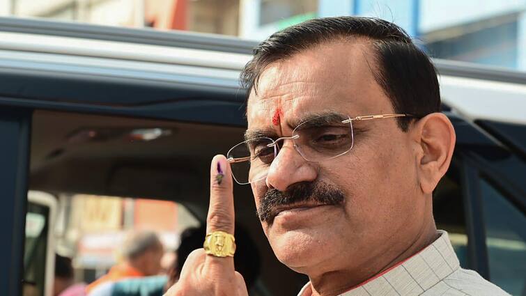 Lok Sabha Elections 2024 Results Rumours Of Alliance Switch Nitish Kumar BJP Madhya Pradesh Chief LS Polls Results: Amid Rumours Of Alliance Switch By Nitish, BJP MP Chief Weighs In
