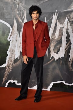 Sunny Kaushal, Shraddha Kapoor, Kriti Sanon, And Other Celebs Attend Screening Of Sharvari Wagh's Munjya 